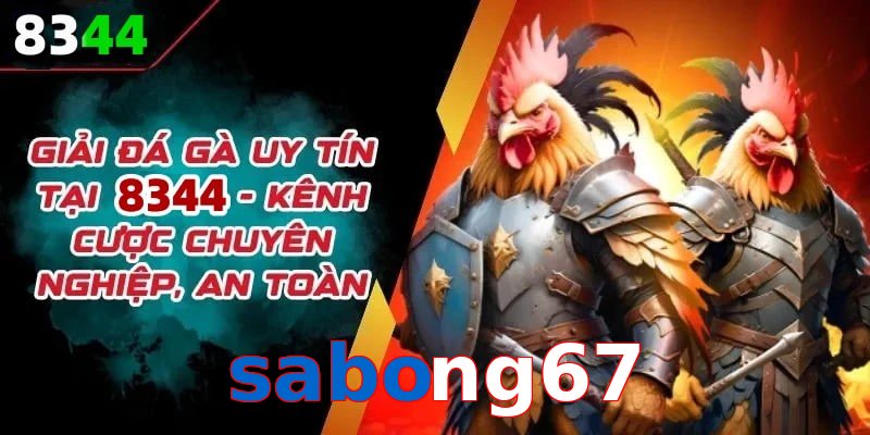 Đơn vị đồng hành cùng đá gà sabong67